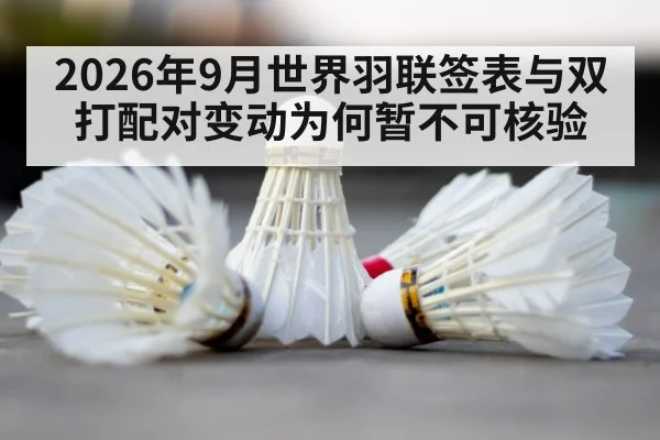 badminton shuttlecock court