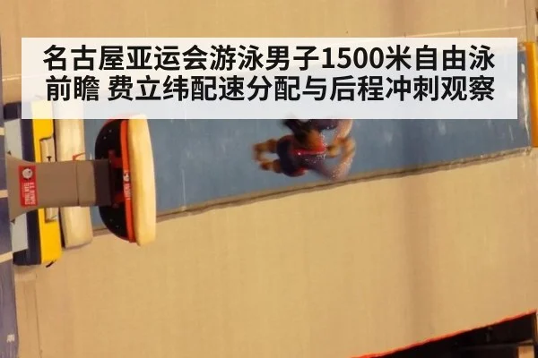 名古屋亚运会游泳男子1500米自由泳前瞻 费立纬配速分配与后程冲刺观察