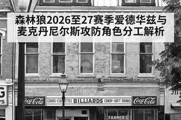 森林狼2026至27赛季爱德华兹与麦克丹尼尔斯攻防角色分工解析