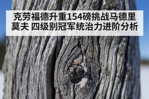 克劳福德升重154磅挑战马德里莫夫 四级别冠军统治力进阶分析